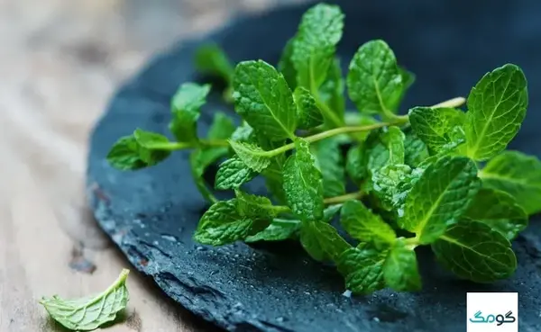 عکس نعناع سبزی