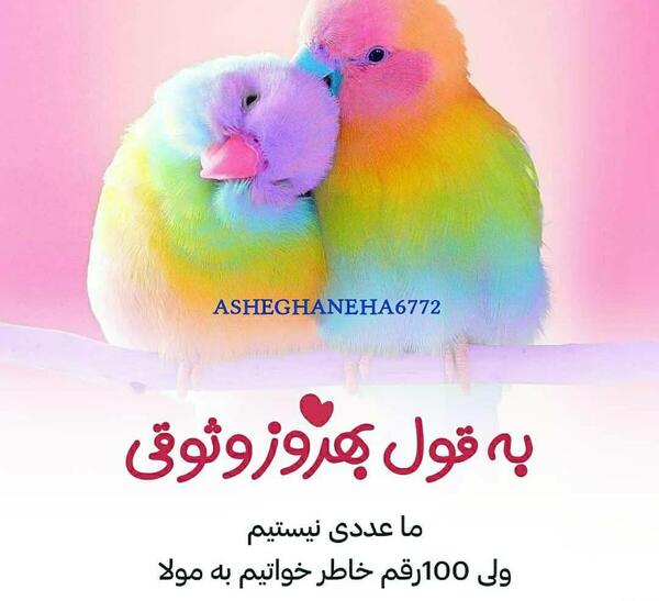 عکس پروفایل طوطی عاشقانه