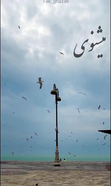 عکس نوشته طعنه دار مفهومی