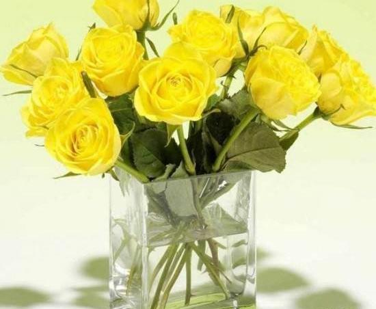عکس گل رز زرد با زمینه مشکی