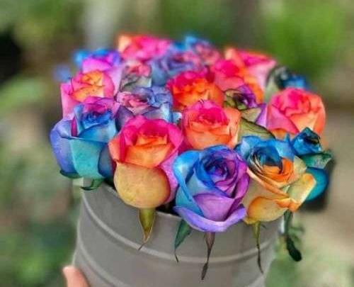 عکس گل رز زرد با زمینه مشکی
