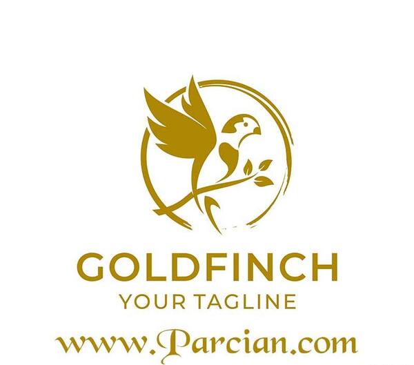 عکس گل رز زرد با زمینه مشکی