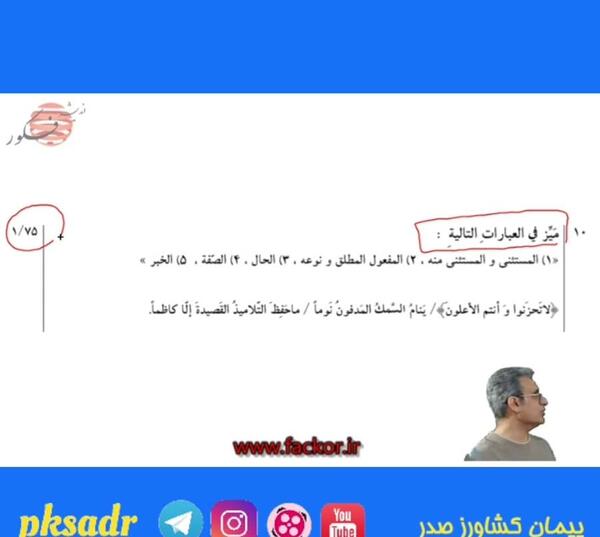 عکس گل پیمان