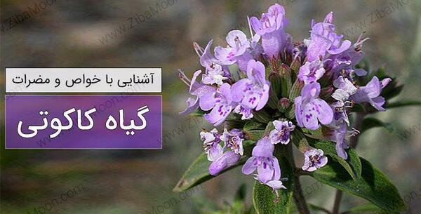 عکس آب زعفران