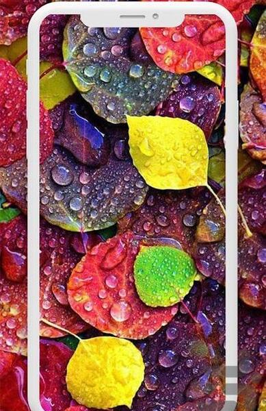 عکس پس زمینه رنگارنگ