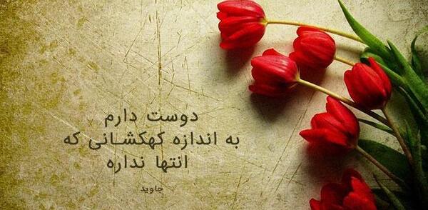 عکس گل نرگس شیک