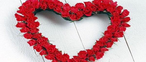 عکس گل نرگس شیک