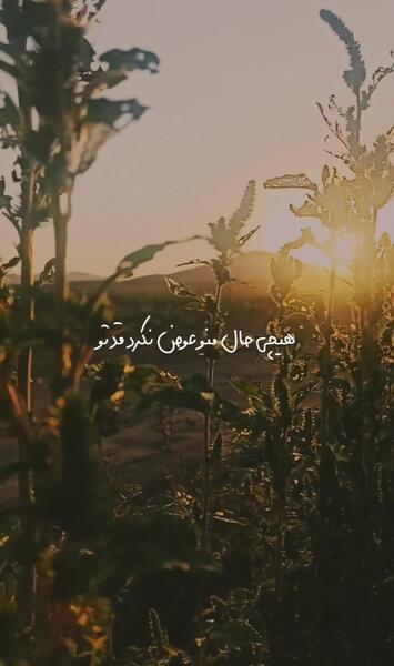 عکس نوشته رفیق تو لباس عروس ببینمت