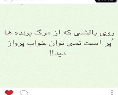 عکس علی کریمی نذری