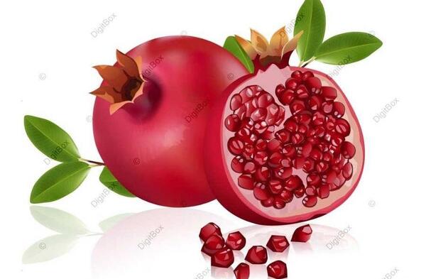 عکس انار