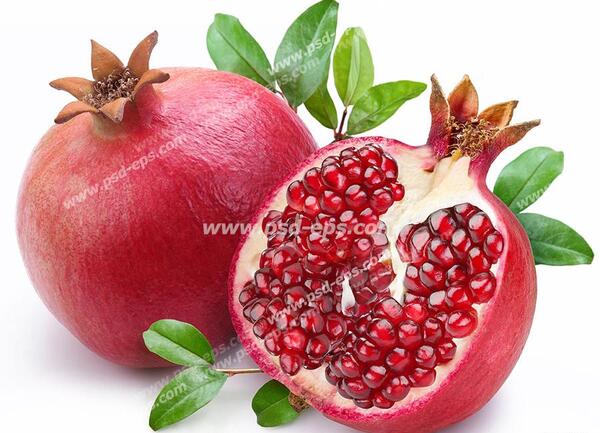 عکس انار
