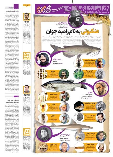 عکس عنکبوت رامبد جوان
