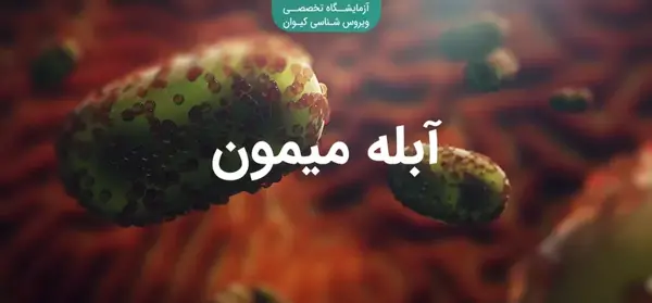 عکس ابله میمونی در ایران