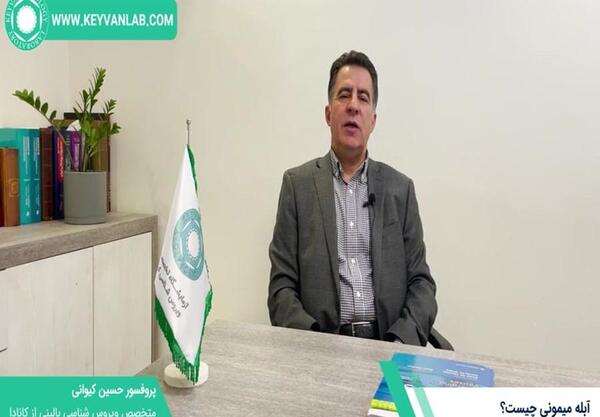 عکس ابله میمونی در ایران