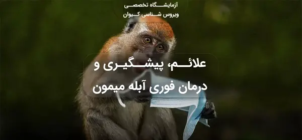 عکس ابله میمونی در ایران