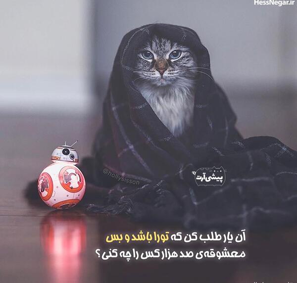 عکس نوشته گروه باحال
