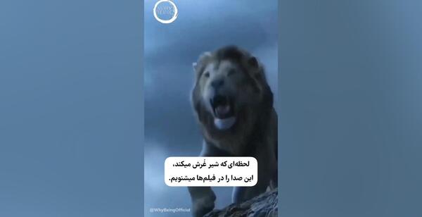 عکس تفنگ اسباب بازی خوب