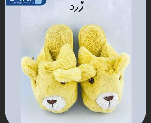 عکس دمپایی روفرشی پشمی