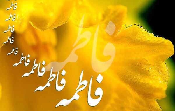 عکس گل یاس حضرت زهرا