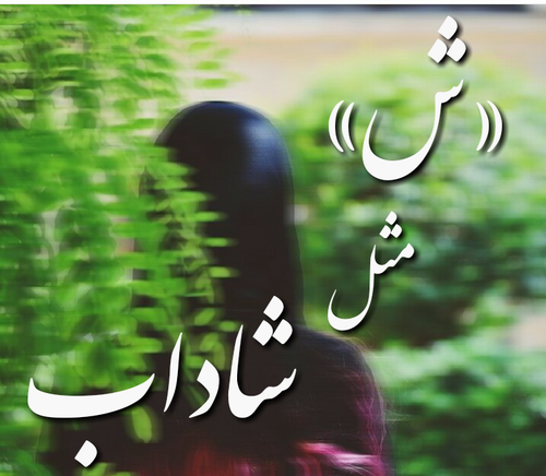 عکس نوشته ش مثل شقایق