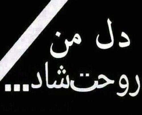 عکس نوشته ش مثل شقایق