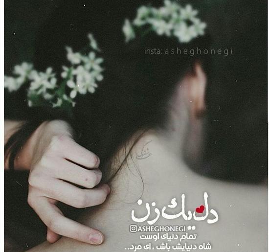 عکس نوشته ش مثل شقایق