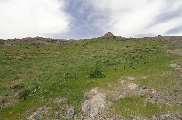 عکس های روستای کرفس