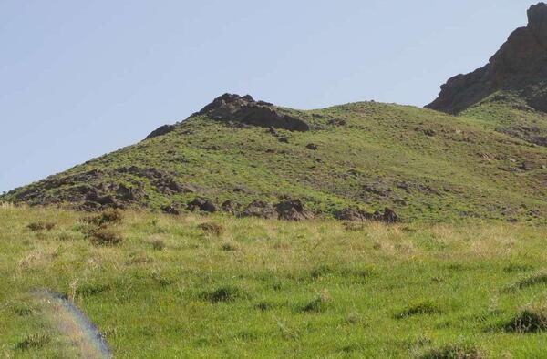 عکس های روستای کرفس