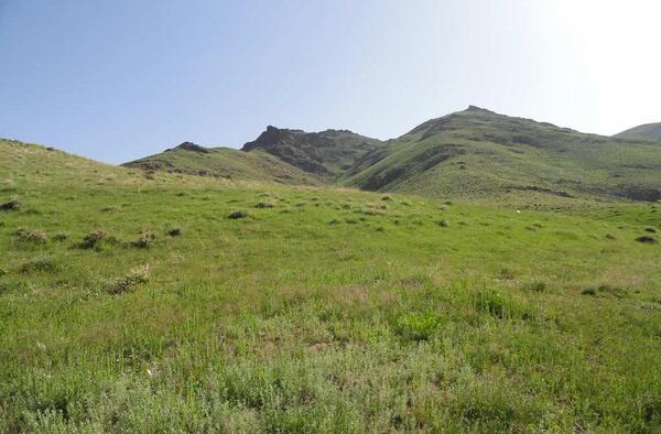 عکس های روستای کرفس