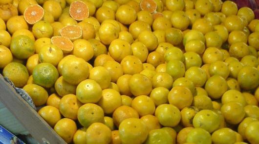 عکس نارنگی سبز