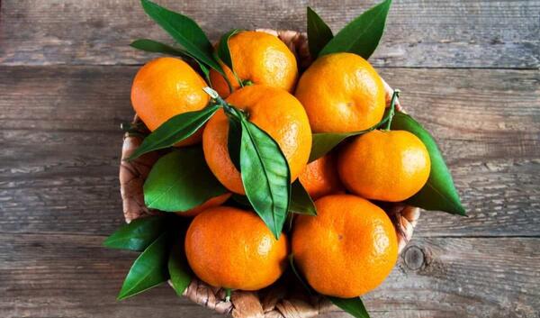 عکس نارنگی سبز