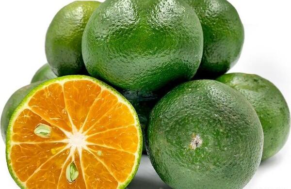 عکس نارنگی سبز