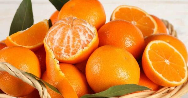 عکس نارنگی سبز