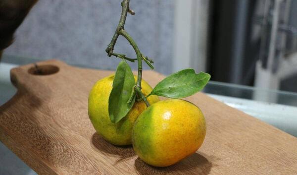 عکس نارنگی سبز