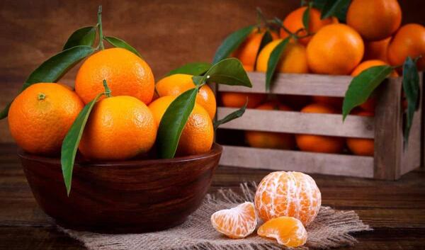 عکس نارنگی سبز
