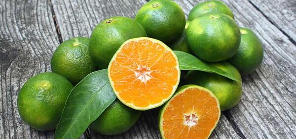 عکس نارنگی سبز