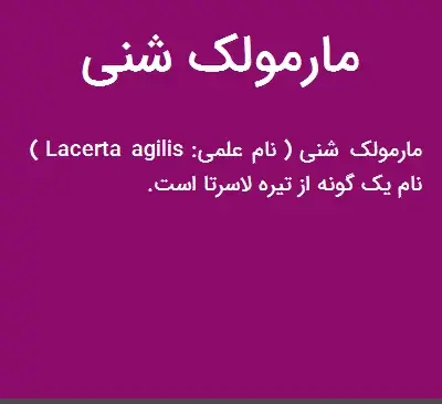 عکس مارمولک شنی