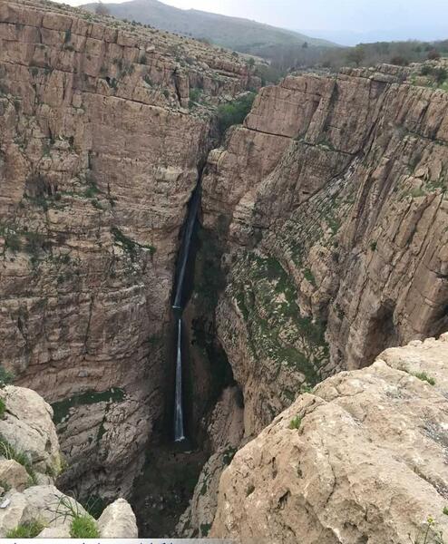 عکس ابودجانه