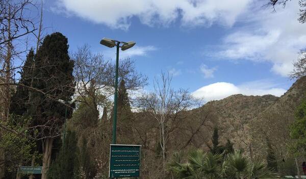 عکس ابودجانه