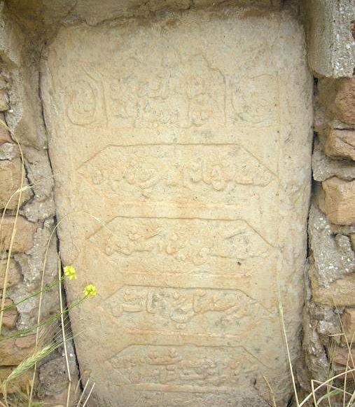 عکس ابودجانه
