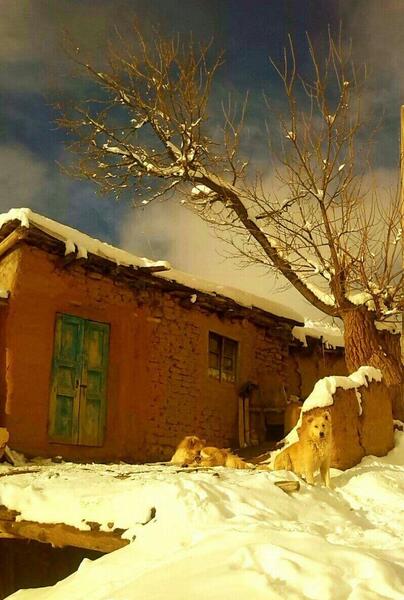 عکس زمستان در روستا