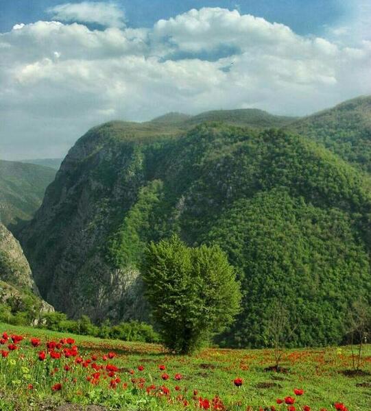 عکس از شمال ایران
