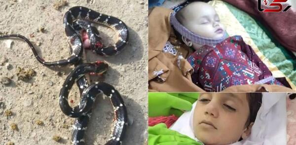 عکس بچه مار