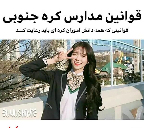 عکس سگ خانگی جیبی