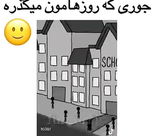 عکس سگ خانگی جیبی