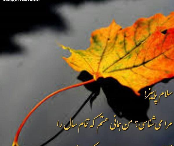 عکس پروفایل پاییز متن دار