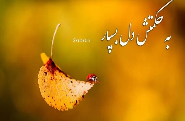عکس پروفایل پاییز متن دار