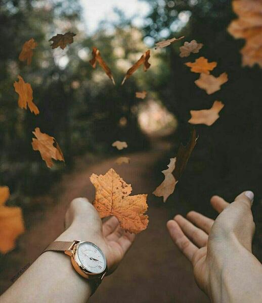 عکس پروفایل پاییز متن دار