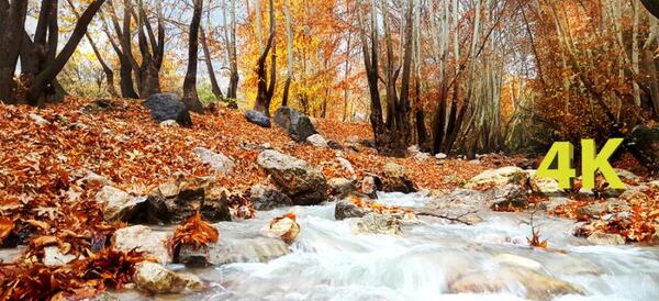 عکس از طبیعت بهشت