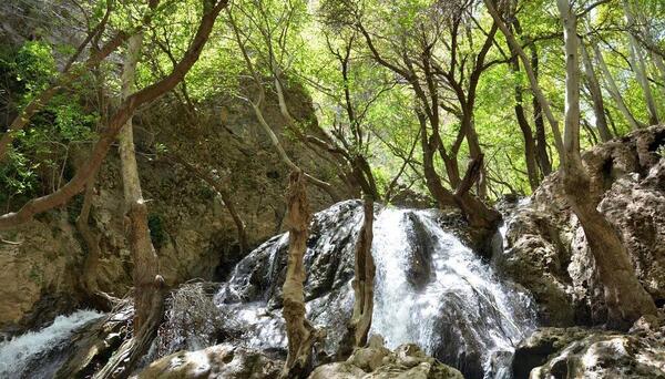 عکس از طبیعت بهشت